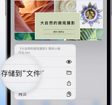 库尔勒apple维修中心分享iPhone文件应用中存储和找到下载文件