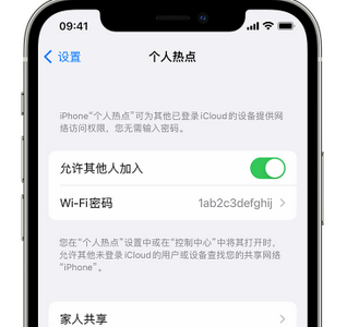 库尔勒apple服务站点分享iPhone上个人热点丢失了怎么办 