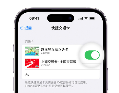 库尔勒apple维修点分享iPhone上更换Apple Pay快捷交通卡手绘卡面 