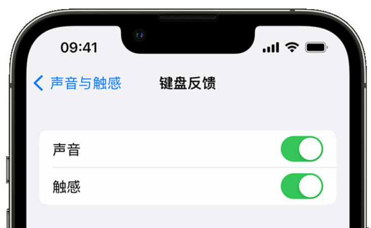 库尔勒苹果手机维修分享iPhone 14触感键盘使用方法 