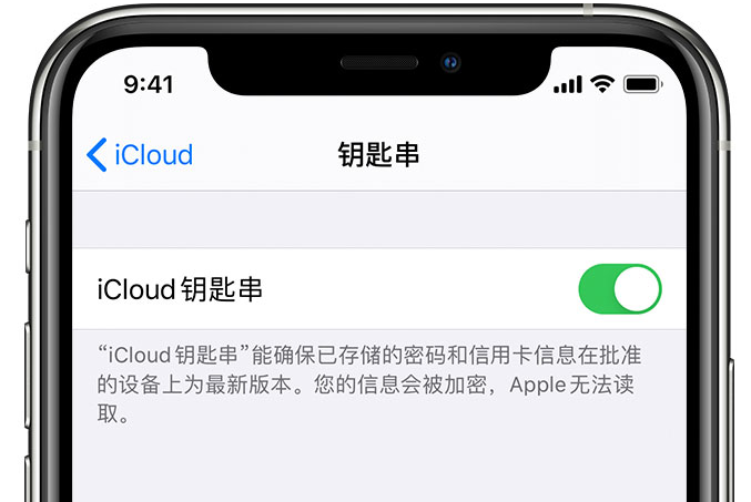 库尔勒苹果手机维修分享在 iPhone 上开启 iCloud 钥匙串之后会储存哪些信息 