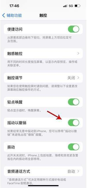 库尔勒苹果手机维修分享iPhone手机如何设置摇一摇删除文字 