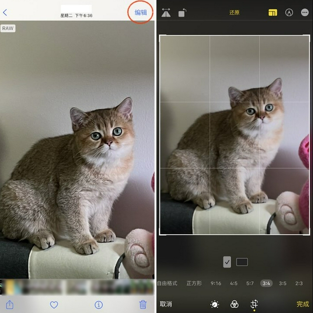 库尔勒苹果手机维修分享苹果 iPhone 12 Pro 拍照会过度锐化 